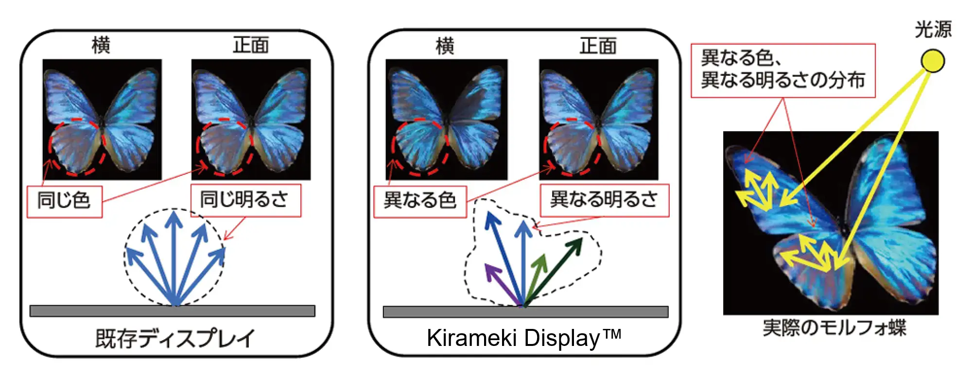 既存ディスプレイとKirameki Displayの比較